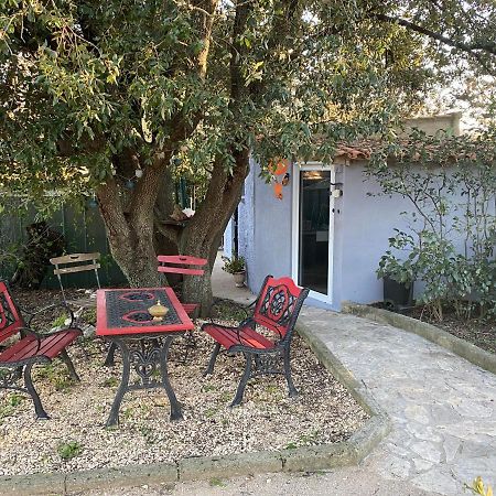 Studio Havre De Paix Au Pont Du Gard Piscine Et Jacuzzi Chez Valerie Payre ヴェール・ポン・デュ・ガル エクステリア 写真