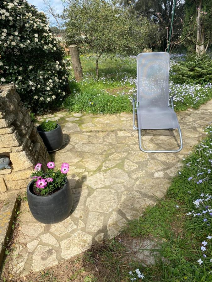 Studio Havre De Paix Au Pont Du Gard Piscine Et Jacuzzi Chez Valerie Payre ヴェール・ポン・デュ・ガル エクステリア 写真