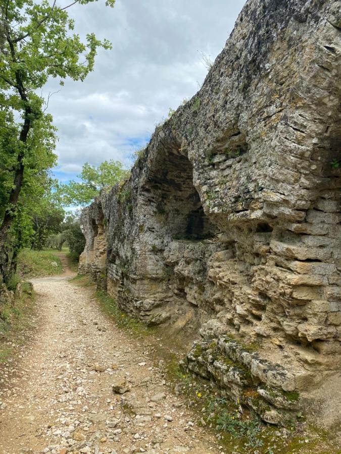 Studio Havre De Paix Au Pont Du Gard Piscine Et Jacuzzi Chez Valerie Payre ヴェール・ポン・デュ・ガル エクステリア 写真