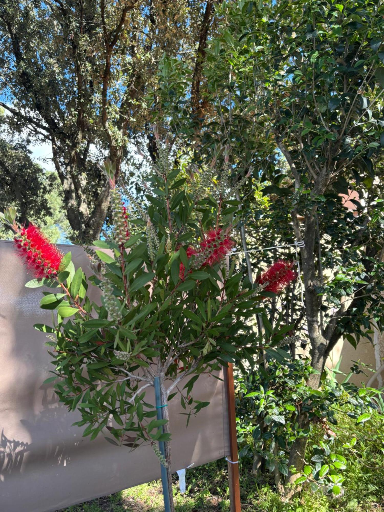Studio Havre De Paix Au Pont Du Gard Piscine Et Jacuzzi Chez Valerie Payre ヴェール・ポン・デュ・ガル エクステリア 写真